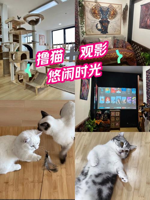 狼群影院网在线观看的相关介绍