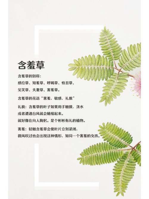 可可影院在线观看高清免费电影，最新热门影视剧全集抢先看