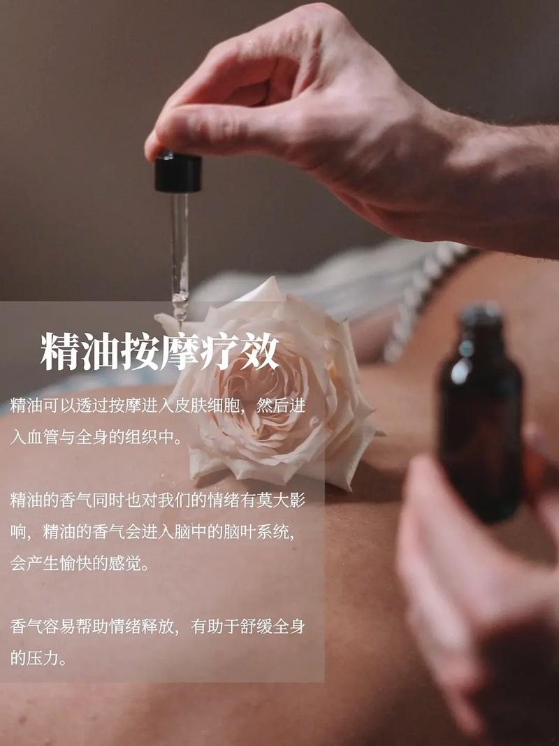 18禁止看的免费网站的相关介绍