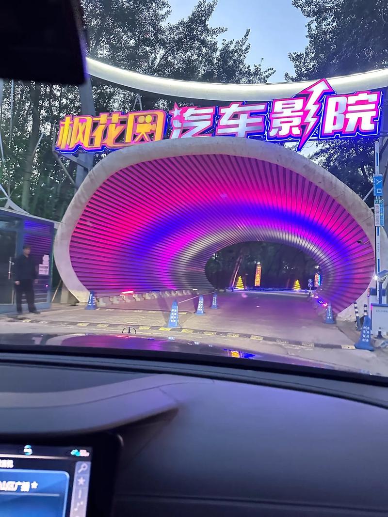 精品久久久a的相关介绍