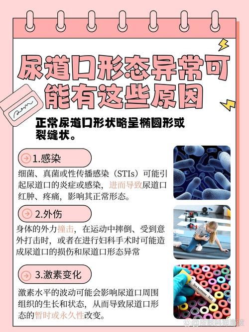 嘿咻影院的相关介绍