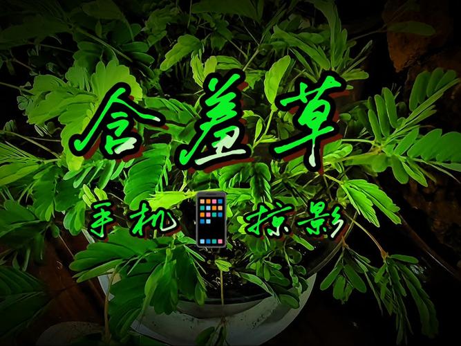 yy影院在线观看-最新热门电影电视剧免费追剧平台，yy影院高清无广告