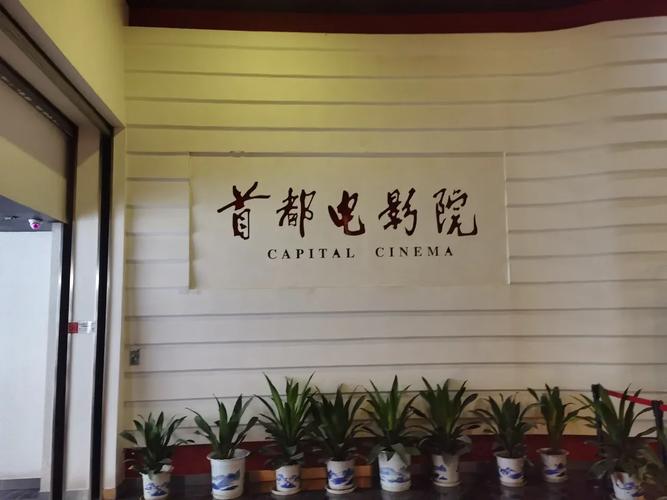 87影院电视剧在线观看视频｜热门高分剧集免费追剧软件｜高清流畅在线播放平台推荐