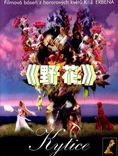 万达影院今日影讯 | 最新排片表与热映影片推荐（2025年7月16日）