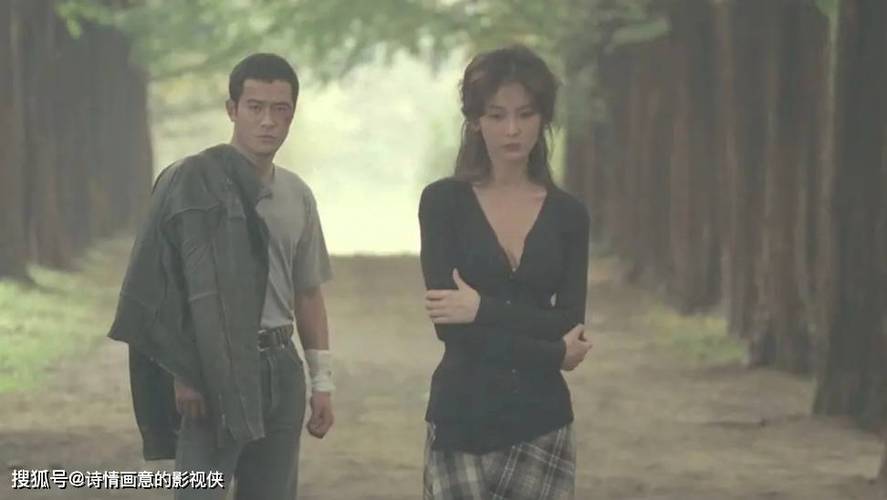 家庭影院必看的片子的相关介绍