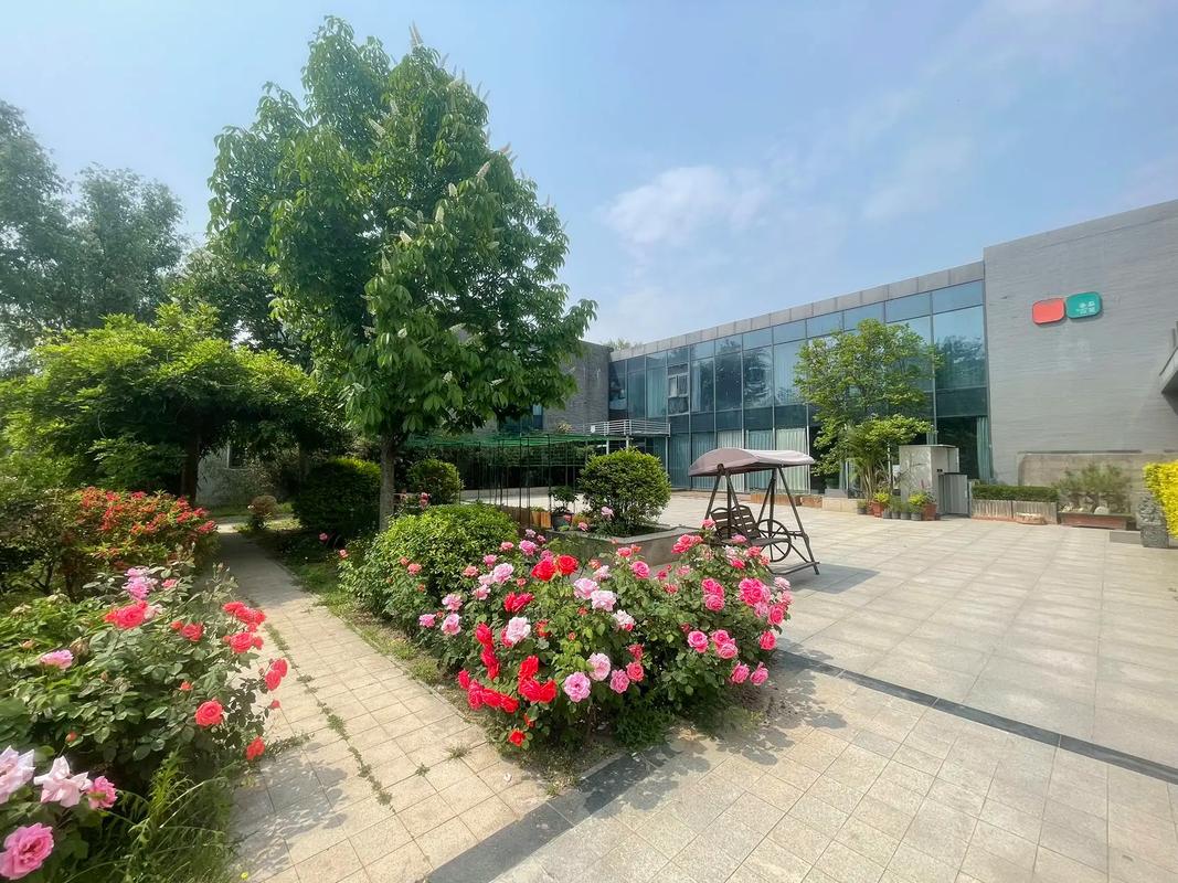 根据“大波妹影院”生成SEO标题（包含3个长尾关键词）：  

**大波妹影院 - 最新高清电影在线观看 | 热门大片免费播放 | 无广告追剧神器**  
（长尾关键词：高清电影在线观看、热门大片免费播放、无广告追剧神器）