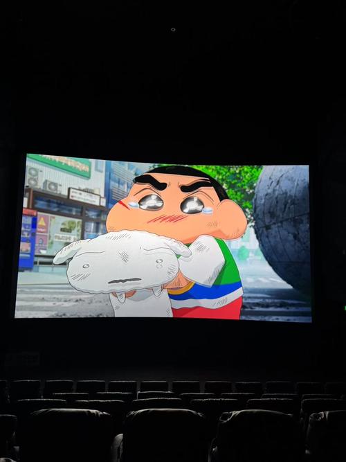 电影院3D眼镜推荐：观影必备，提升3D沉浸感体验（长尾关键词：电影院3D眼镜、3D眼镜通用款、3D电影配件）