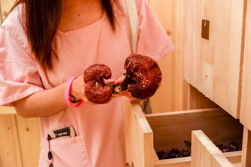 极品影院 - 2025最新高清影视资源免费在线观看，畅享无广告极致观影体验
