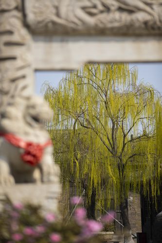 躺在床上看电影的私密影院体验｜家庭卧室投影仪推荐｜情侣居家约会神器