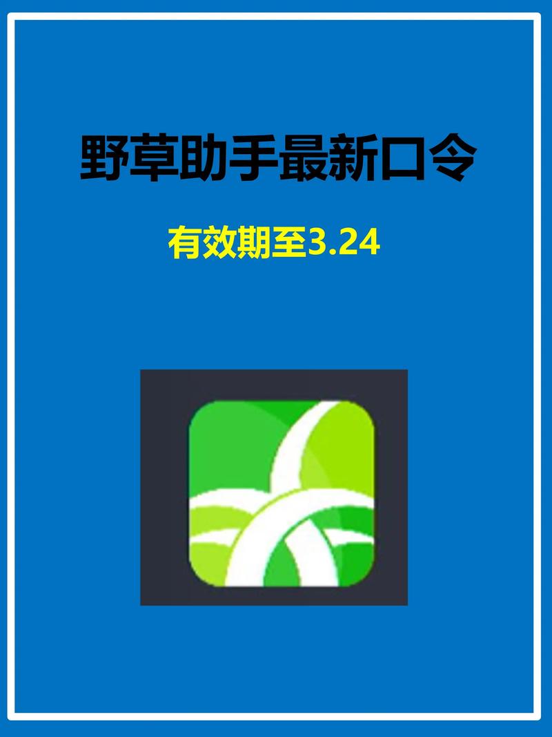 日本精油按摩伦理指南 | 从业者规范、客户须知与行业标准解析