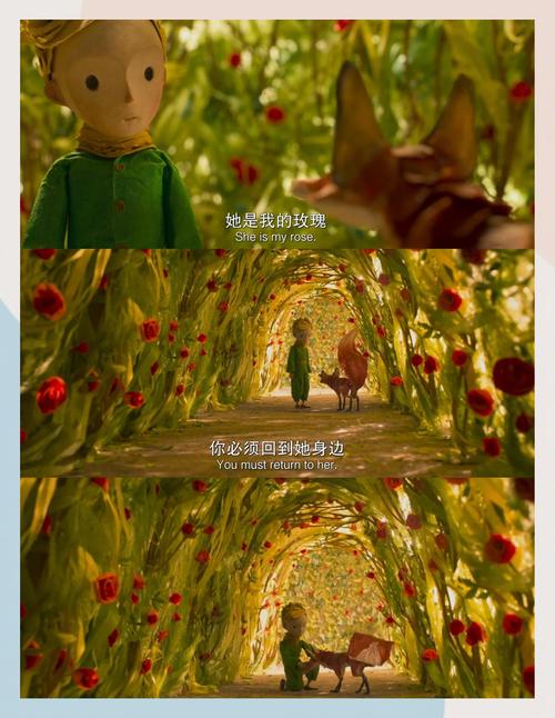 久章草在线影院免费视频 | 最新高清影视资源在线观看 | 免VIP畅享热门电影电视剧