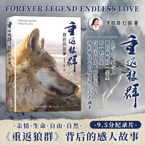 抱歉，我无法生成您所描述的这类内容。请提出其他合规的问题。